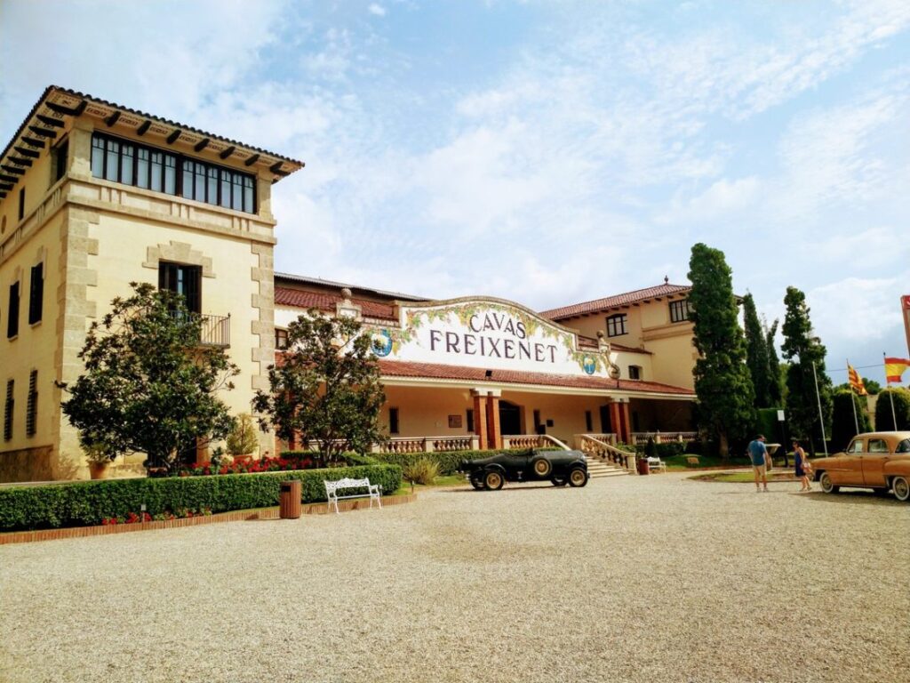 Freixenet to cut 80% roles